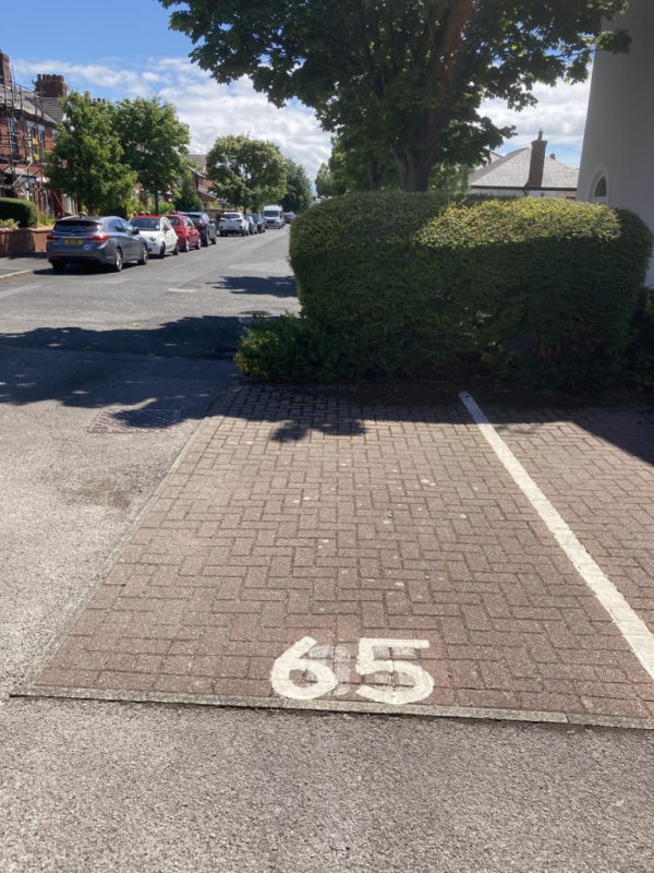 Image 1 thumbnail