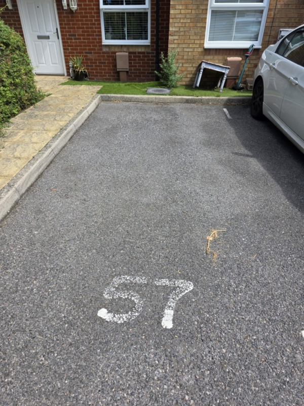 Image 1 thumbnail