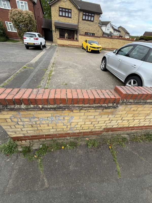 Image 2 thumbnail