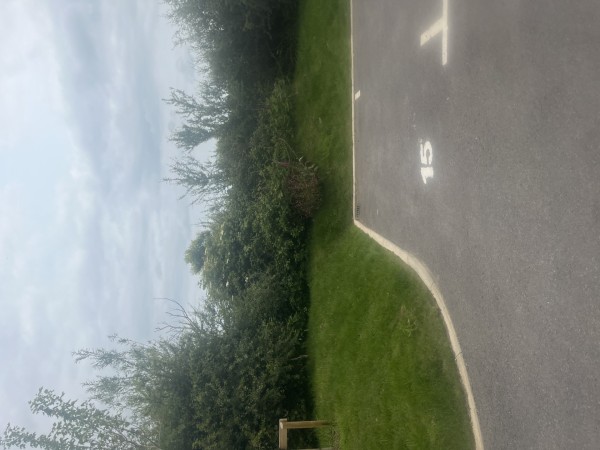 Image 1 thumbnail