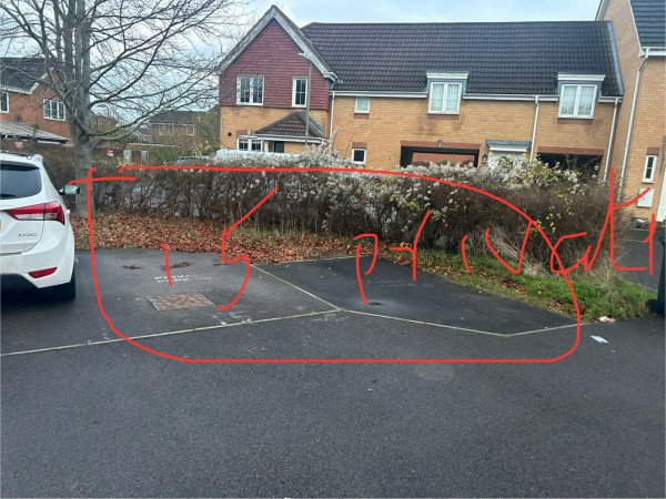 Image 2 thumbnail