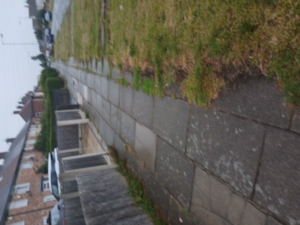 Image 2 thumbnail