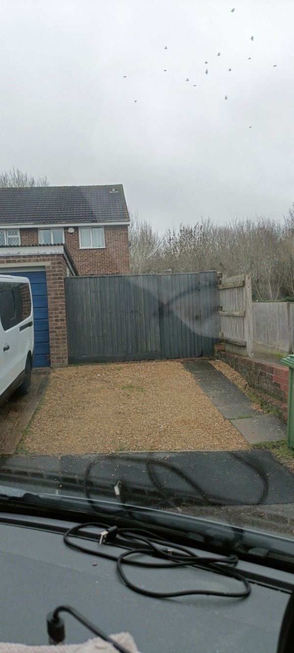 Image 1 thumbnail