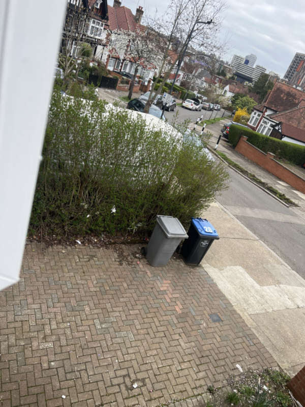 Image 1 thumbnail