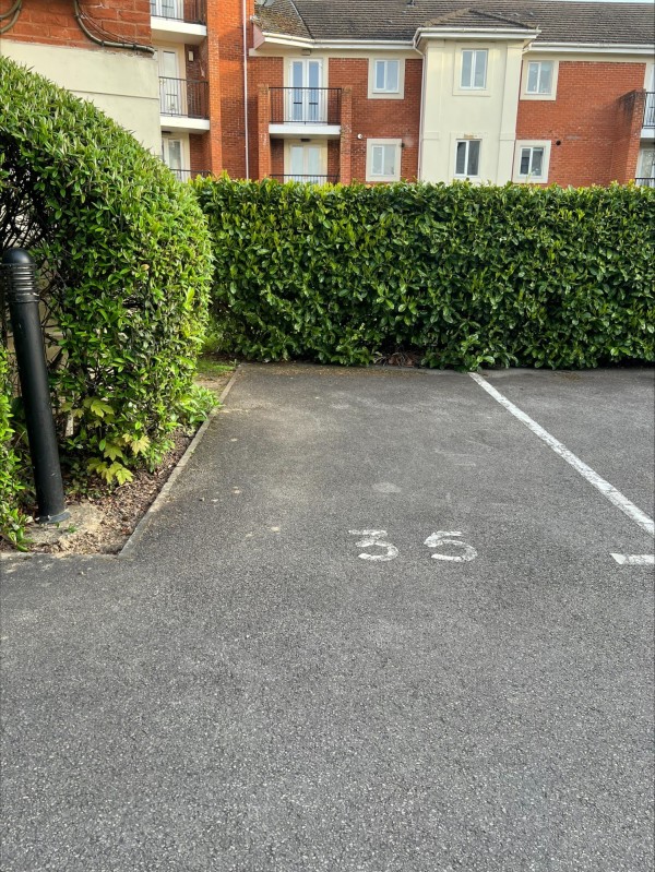 Image 1 thumbnail