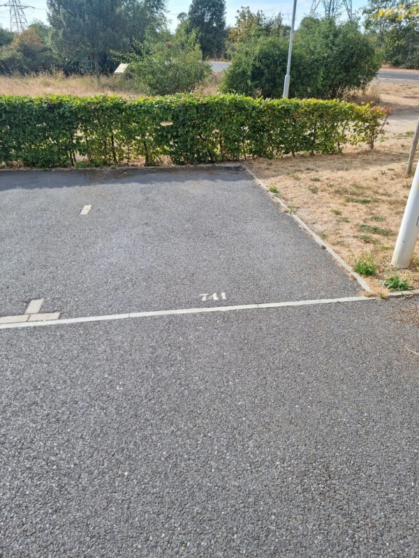 Image 1 thumbnail