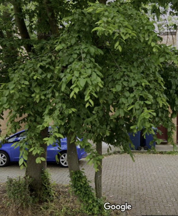 Image 1 thumbnail