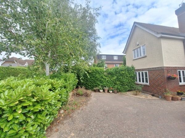 Image 1 thumbnail
