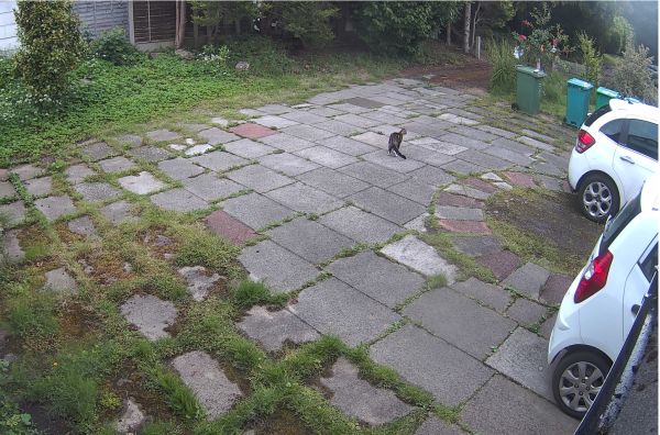 Image 1 thumbnail