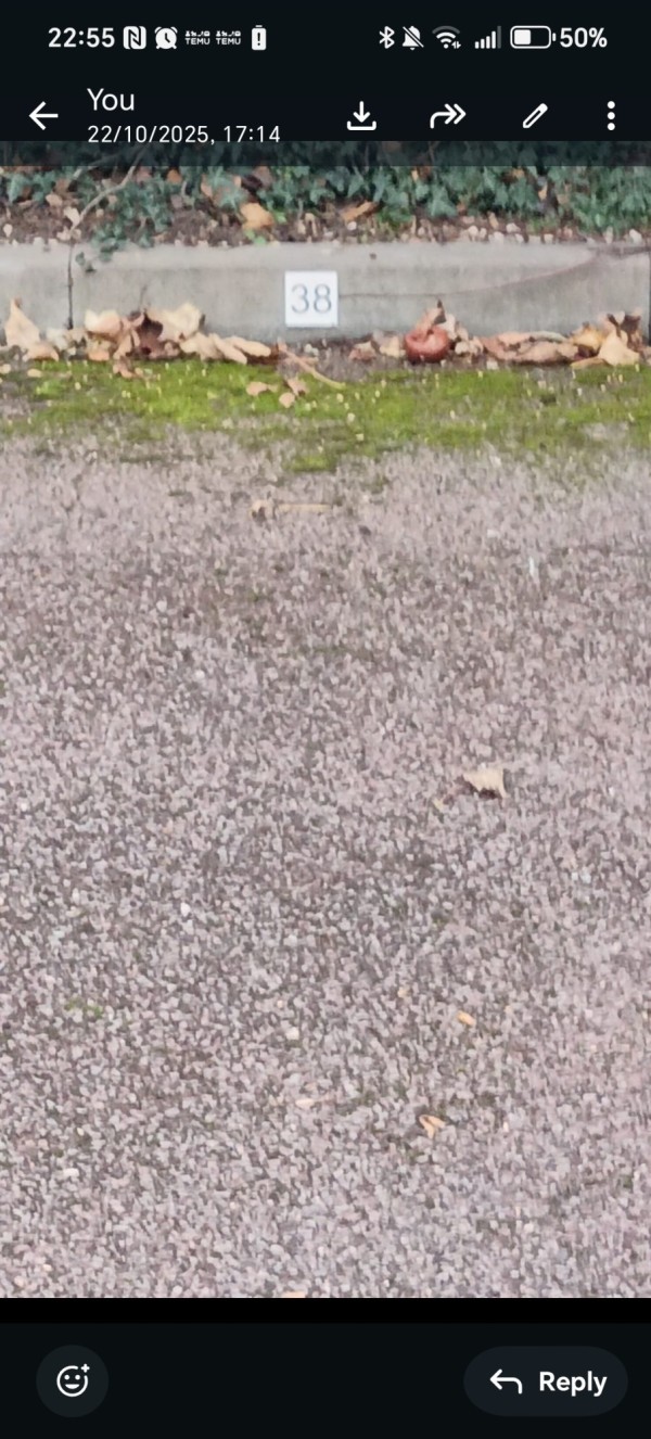 Image 1 thumbnail