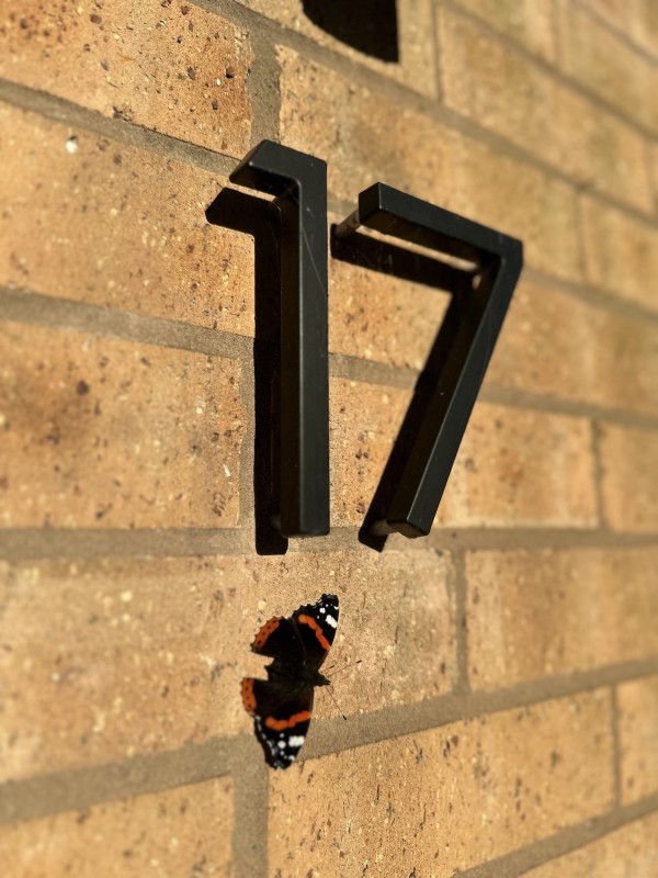 Image 1 thumbnail