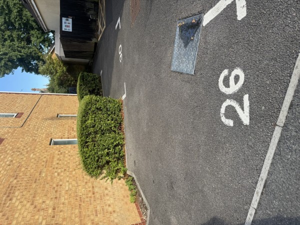Image 1 thumbnail
