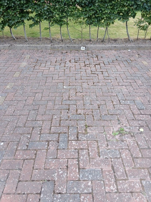 Image 1 thumbnail