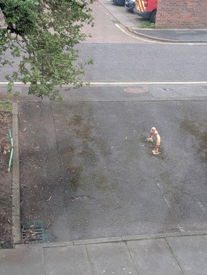 Image 2 thumbnail