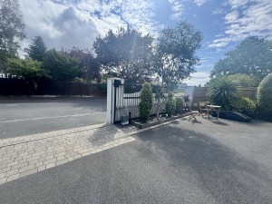 Image 2 thumbnail