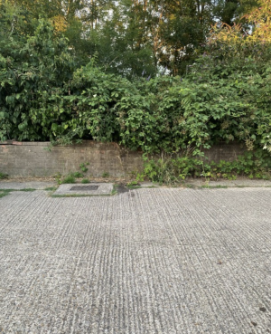 Image 2 thumbnail