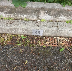 Image 2 thumbnail