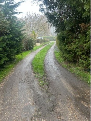Image 2 thumbnail