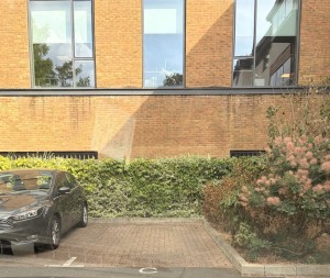 Image 2 thumbnail