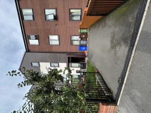 Image 2 thumbnail