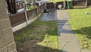 Image 2 thumbnail