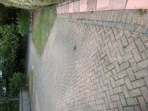 Image 2 thumbnail