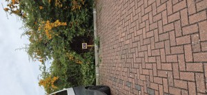 Image 1 thumbnail
