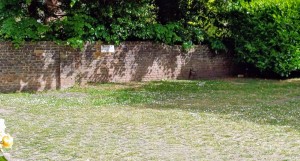 Image 1 thumbnail