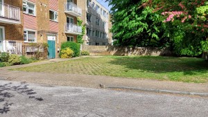 Image 2 thumbnail