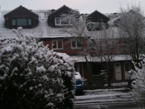 Image 2 thumbnail