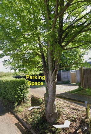 Image 2 thumbnail