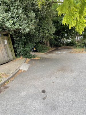Image 2 thumbnail