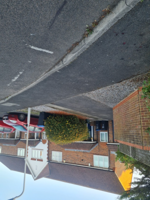 Image 2 thumbnail