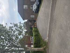 Image 2 thumbnail