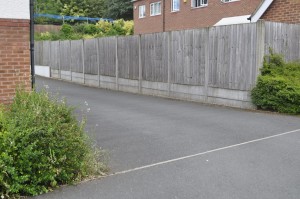 Image 2 thumbnail