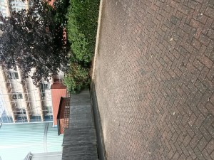Image 1 thumbnail