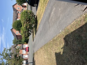 Image 1 thumbnail