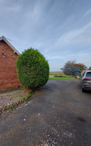 Image 2 thumbnail