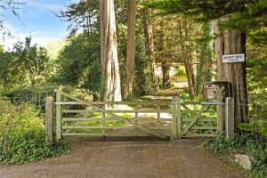 Image 2 thumbnail