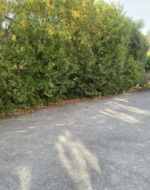 Image 2 thumbnail