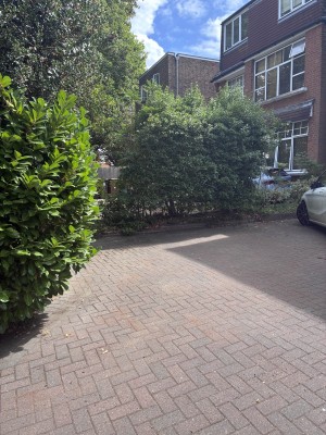 Image 2 thumbnail