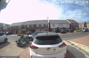 Image 2 thumbnail