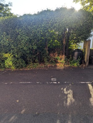 Image 2 thumbnail