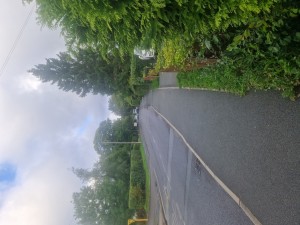 Image 2 thumbnail