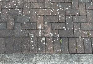 Image 2 thumbnail