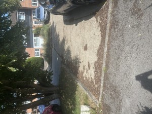 Image 2 thumbnail