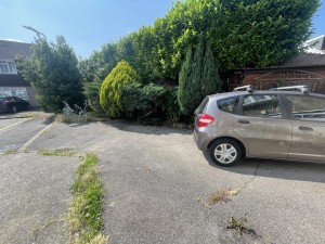 Image 1 thumbnail