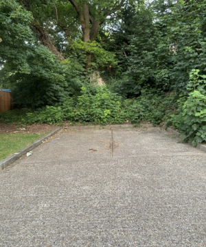 Image 2 thumbnail