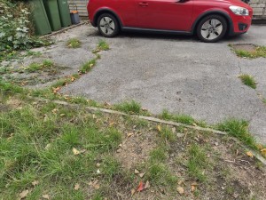 Image 1 thumbnail