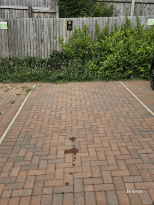 Image 2 thumbnail